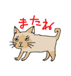 nobimaru Cat2（個別スタンプ：27）