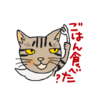 nobimaru Cat2（個別スタンプ：28）