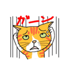 nobimaru Cat2（個別スタンプ：33）