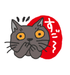 nobimaru Cat2（個別スタンプ：36）