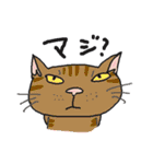 nobimaru Cat2（個別スタンプ：37）