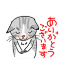 nobimaru Cat2（個別スタンプ：40）