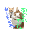 チビとエル2（個別スタンプ：1）
