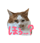 チビとエル2（個別スタンプ：15）