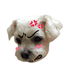 Blind dog FatLily 3（個別スタンプ：7）