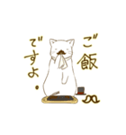 おヒゲ猫（個別スタンプ：7）