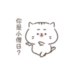 meowda（個別スタンプ：2）