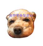 らぶマロン（個別スタンプ：2）