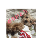 らぶマロン（個別スタンプ：17）