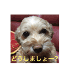 らぶマロン（個別スタンプ：18）