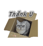 Kitty＆Audiの日常生活（個別スタンプ：13）