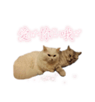 Kitty＆Audiの日常生活（個別スタンプ：23）