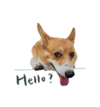 Neil Play（個別スタンプ：1）