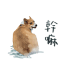 Neil Play（個別スタンプ：2）