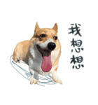 Neil Play（個別スタンプ：5）