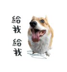 Neil Play（個別スタンプ：7）