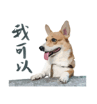 Neil Play（個別スタンプ：9）