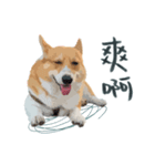 Neil Play（個別スタンプ：11）