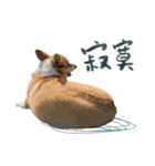Neil Play（個別スタンプ：12）