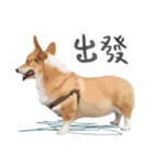 Neil Play（個別スタンプ：14）