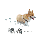 Neil Play（個別スタンプ：15）