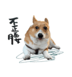 Neil Play（個別スタンプ：18）