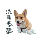 Neil Play（個別スタンプ：19）