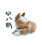 Neil Play（個別スタンプ：20）