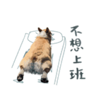 Neil Play（個別スタンプ：21）