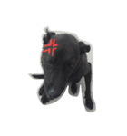 DogDoDo（個別スタンプ：5）