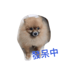 My name is Happy.（個別スタンプ：2）
