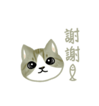 Cat Thanks You (Taiwan)（個別スタンプ：1）