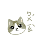 Cat Thanks You (Taiwan)（個別スタンプ：4）