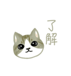 Cat Thanks You (Taiwan)（個別スタンプ：8）