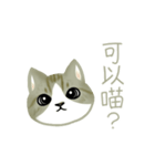 Cat Thanks You (Taiwan)（個別スタンプ：9）