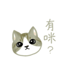 Cat Thanks You (Taiwan)（個別スタンプ：10）