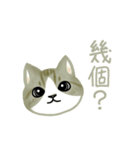 Cat Thanks You (Taiwan)（個別スタンプ：11）