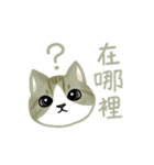 Cat Thanks You (Taiwan)（個別スタンプ：15）