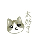 Cat Thanks You (Taiwan)（個別スタンプ：17）