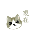 Cat Thanks You (Taiwan)（個別スタンプ：21）