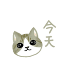 Cat Thanks You (Taiwan)（個別スタンプ：22）