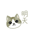 Cat Thanks You (Taiwan)（個別スタンプ：23）