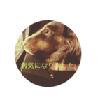 みにちゅあだっくす（個別スタンプ：3）