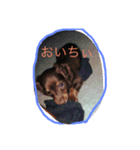 みにちゅあだっくす（個別スタンプ：8）