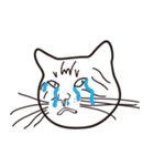 EVIL CATS（個別スタンプ：3）