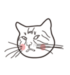 EVIL CATS（個別スタンプ：5）