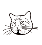 EVIL CATS（個別スタンプ：7）