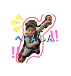 chibis stamp（個別スタンプ：24）