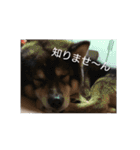 ぼぅくんスタンプ＋（個別スタンプ：2）