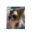ぼぅくんスタンプ＋（個別スタンプ：5）